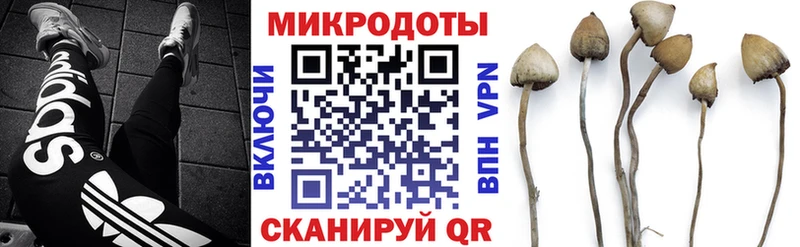 купить наркотик  Жуков  ОМГ ОМГ вход  Галлюциногенные грибы GOLDEN TEACHER 